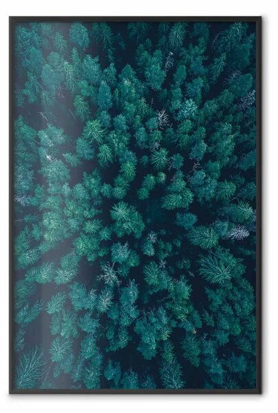 Poster: Viaggio meraviglioso - vista aerea di composizione forestale