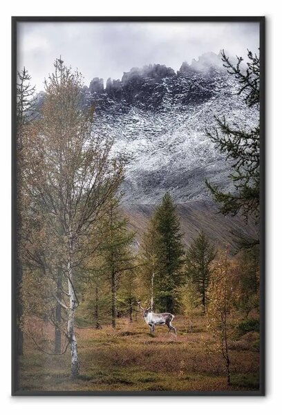 Poster: Ospite autunnale - animale tra alberi