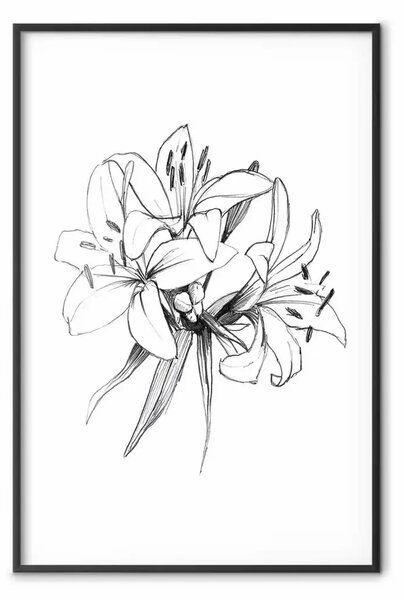 Poster: Fiori disegnati - schizzo nero di fiori su bianco contrastante