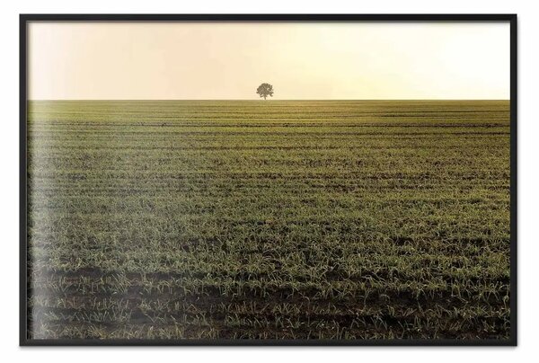 Poster: Autunno al mattino - paesaggio di campo su tramonto