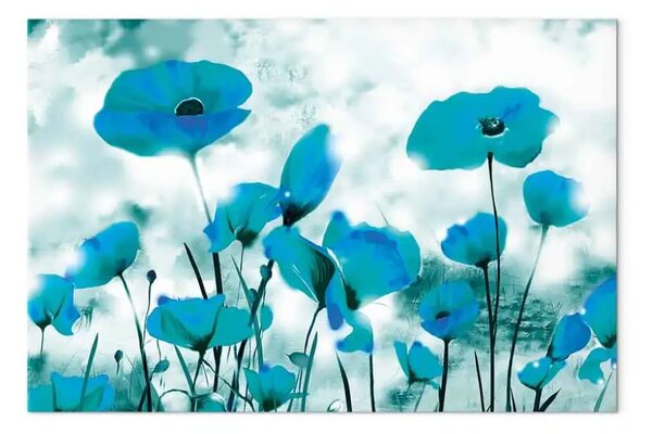 Quadro su tela Papaveri smeraldo - fiori sotto un cielo blu