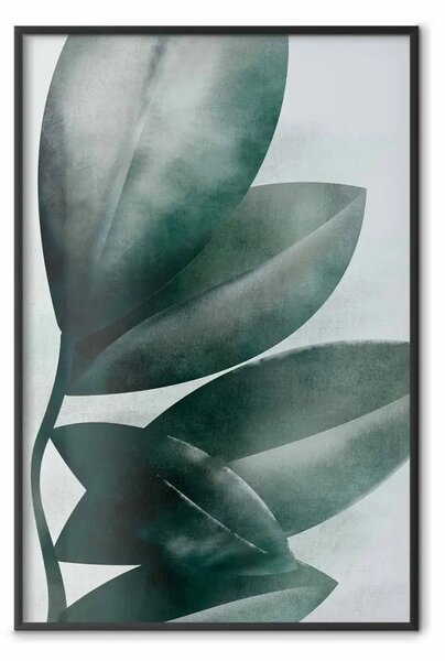 Poster: Foglie di olivo - composizione vegetale di foglie verdi su chiaro