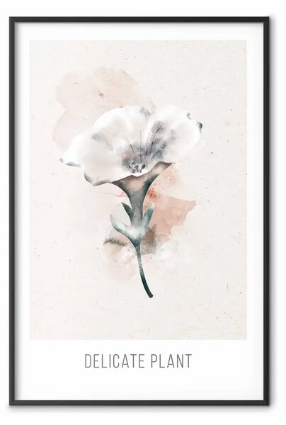 Poster: Pianta delicata - fiore chiaro su sfondo beige