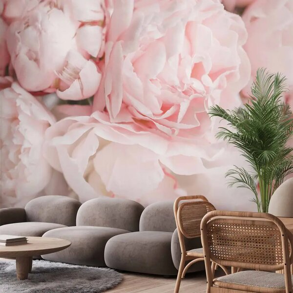 Carta da parati Peonie in polvere - delicato motivo floreale a zoom