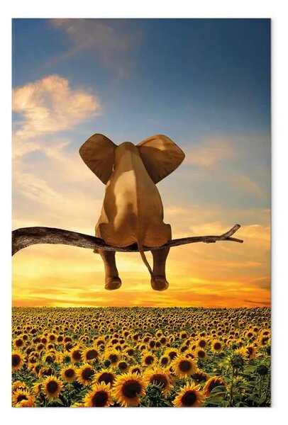 Quadro moderno Elefante e girasoli - fantasia al tramonto
