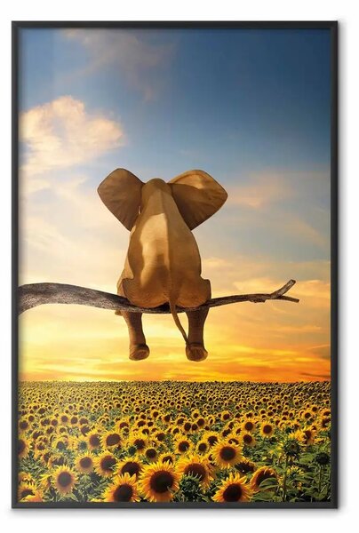 Poster: Elefante e girasoli - animale seduto su ramo di albero su sfondo cielo