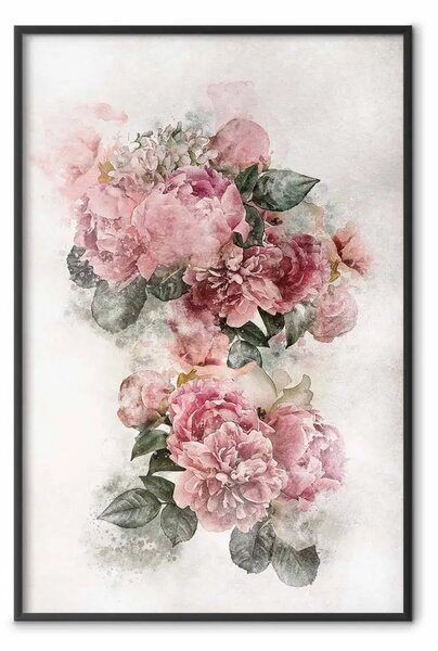 Poster: Peonie in fiore - acquerello di fiori su sfondo grigio