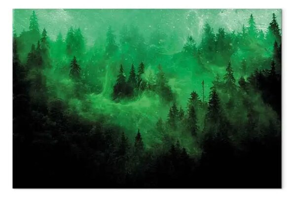 Quadro Nebbia magica - terza variante - paesaggio forestale verde