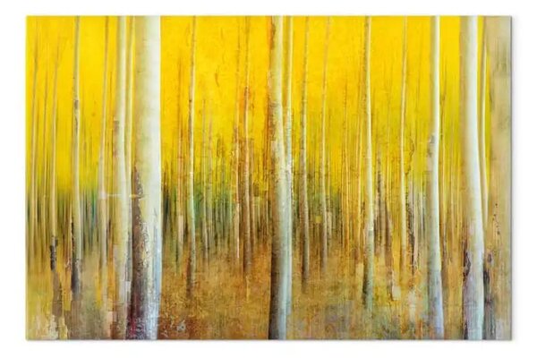 Quadro contemporaneo Radura soleggiata - alberi in un paesaggio autunnale