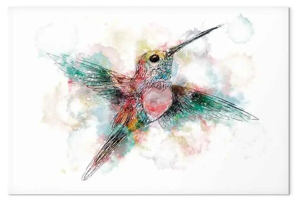 Quadro moderno Colibrì colorato largo - uccello multicolore per bambini