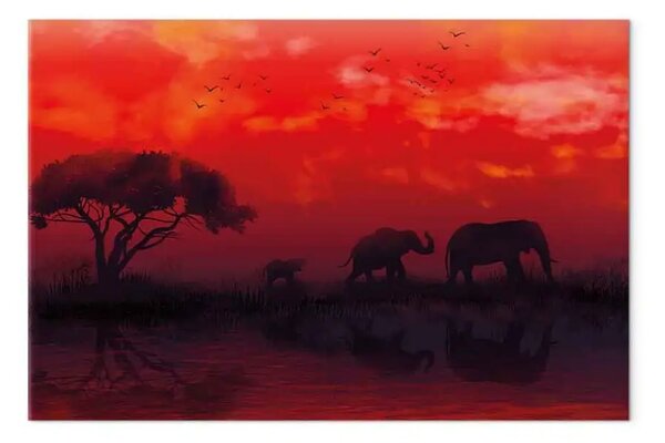 Quadro moderno Paesaggio africano largo - elefanti e cielo rosso
