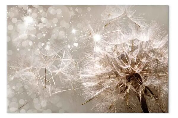 Quadro su tela Nella Luce del Soffione - Semi fiore trasportati dal vento