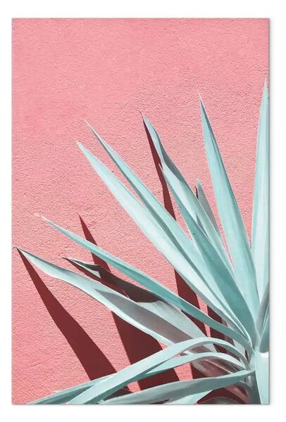 Quadro contemporaneo In pieno sole - paesaggio a foglie su parete rosa