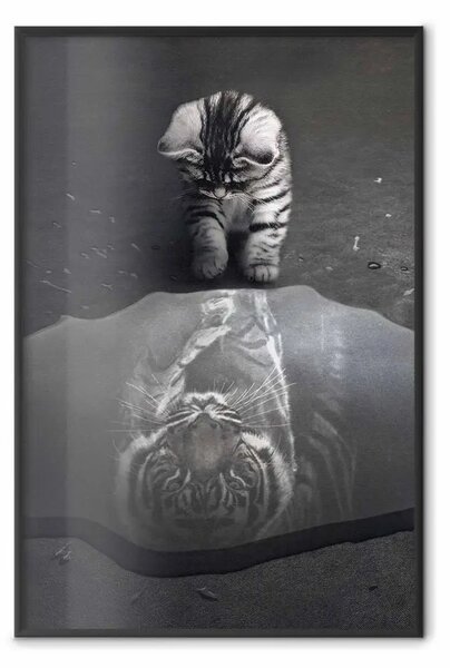 Poster: Animale predatore - fotografia del gatto con il riflesso di una tigre