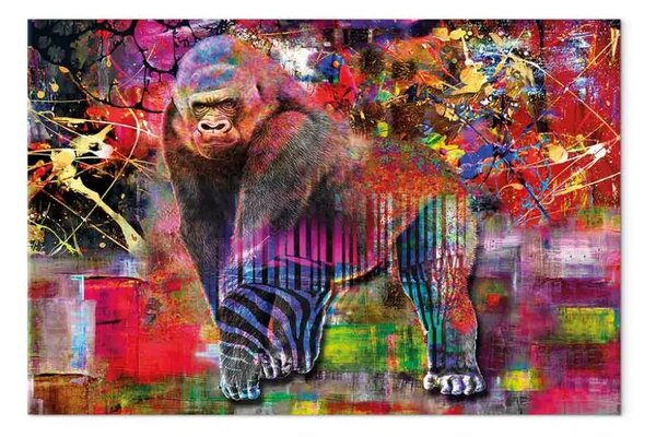 Quadro moderno Re foreste alte - scimmia astrazione colorata