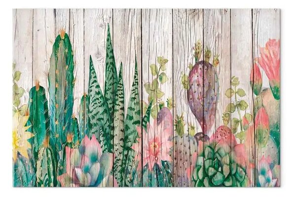 Quadro Cactus - piante su sfondo legno chiaro vintage