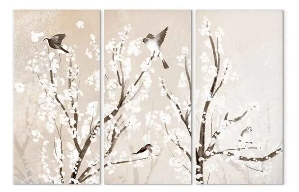 Quadro su tela Alberi e uccelli (3 parti) - fiori bianchi sui rami