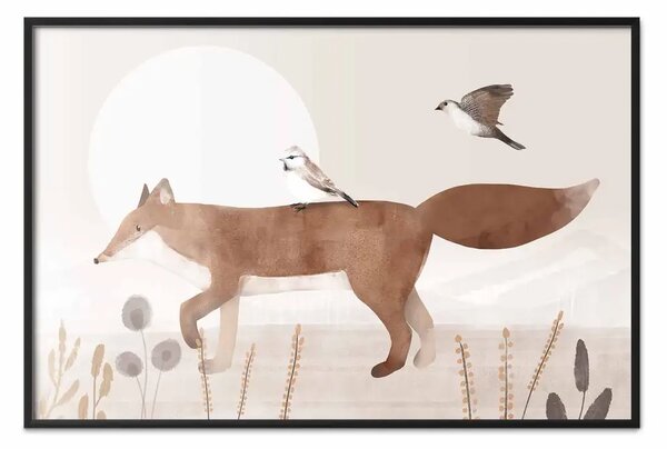 Poster: Volpe e uccelli erranti - animali notte