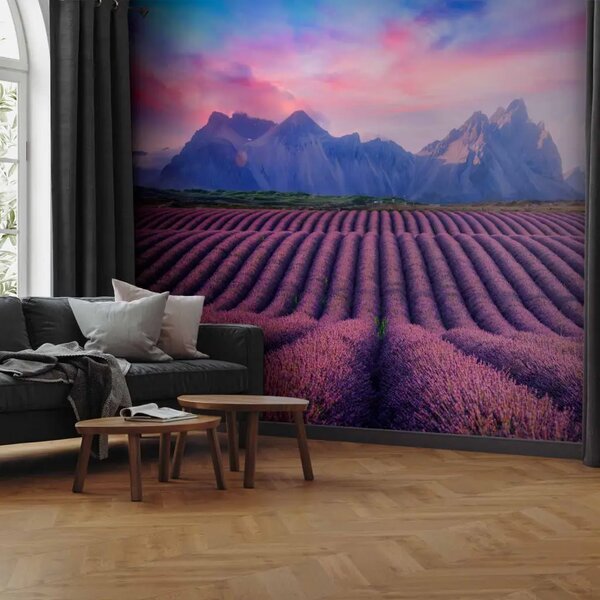Carta da parati Vista dei sogni - campo di lavanda viola con cielo e montagne