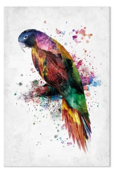 Quadro contemporaneo Uccello arcobaleno - pappagallo ara colorato ad acquerello