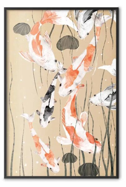 Poster: Carpa Koi - carpa giapponese dipinta che galleggia tra le alghe