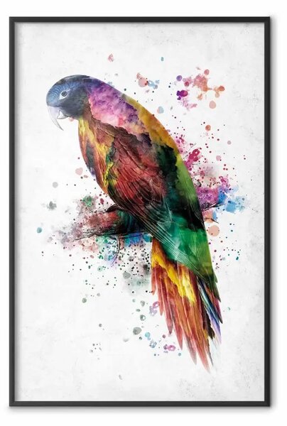 Poster: Pappagallo arcobaleno - uccello ramo