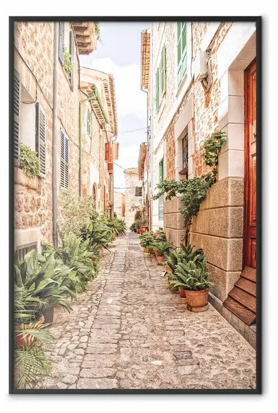 Poster: Una strada tranquilla - veduta di edifici storici e vegetazione