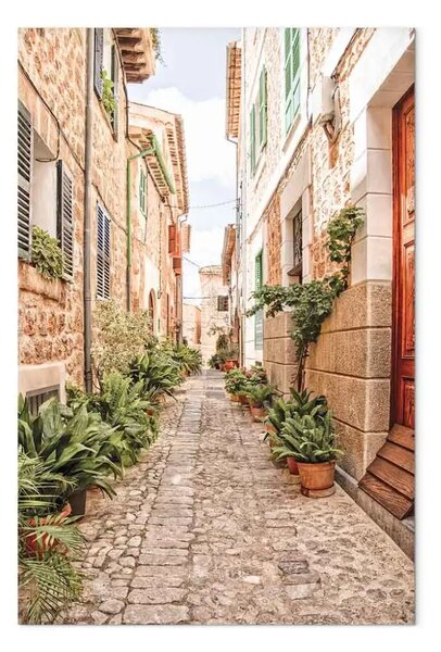 Quadro Calle tranquila - vista sulla città spagnola e piante
