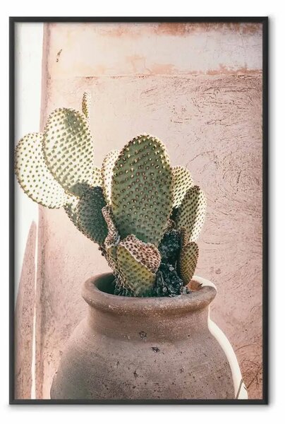 Poster: Cactus in vaso - pianta di conifere in un vaso di argilla