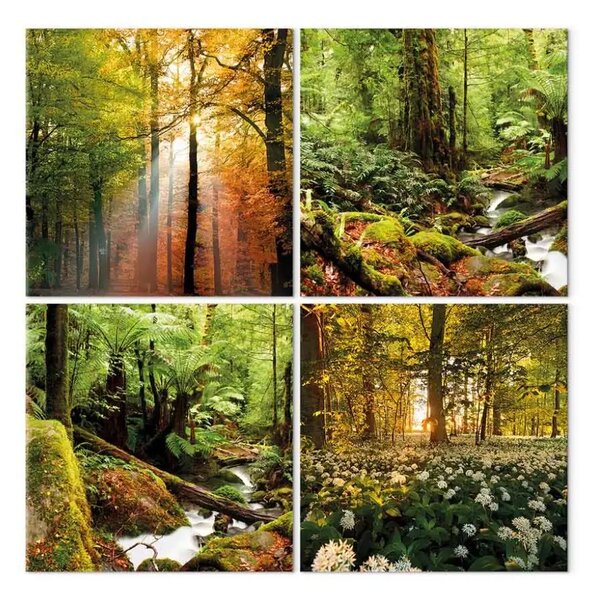 Quadro moderno Paesaggi boschivi (4-parti) - alberi sotto i caldi raggi del sole