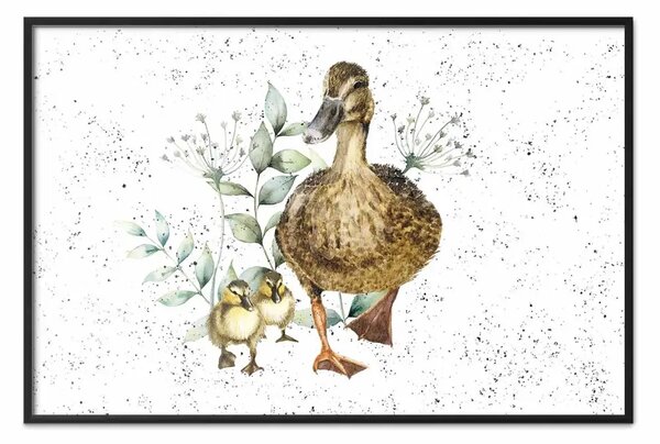 Poster: Famiglia anatre - animali piante