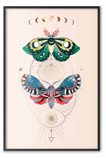 Poster: Insetti magici - segni esoterici geometrici e falene colorate