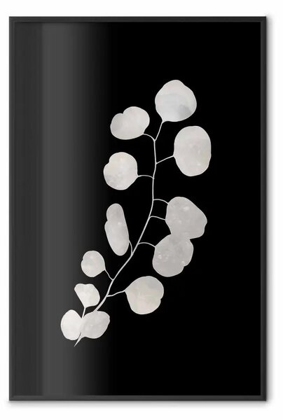 Poster: Rametto di eucalipto - pianta minimalista su sfondo scuro