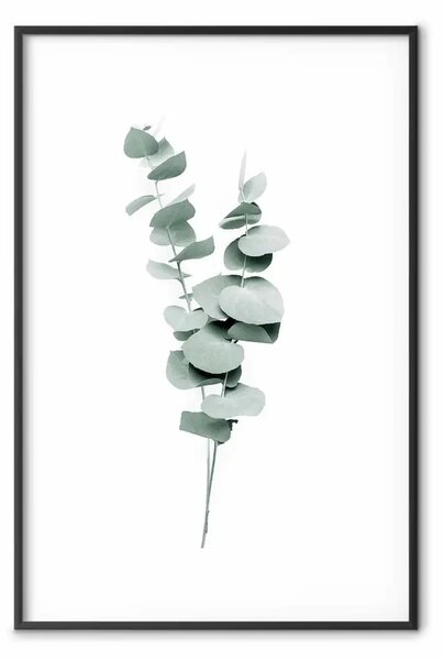 Poster: Rami eucalipto - foglie minimaliste