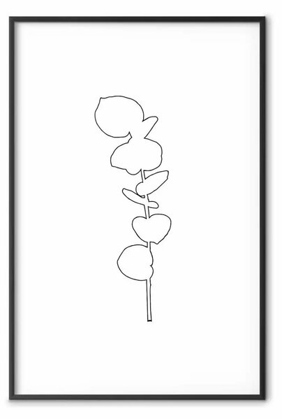 Poster: Eucalipto grafico - disegno minimalista di una foglia in stile lineare