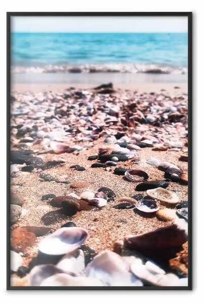 Poster: Spiaggia estiva - foto di conchiglie sulla riva di un mare blu