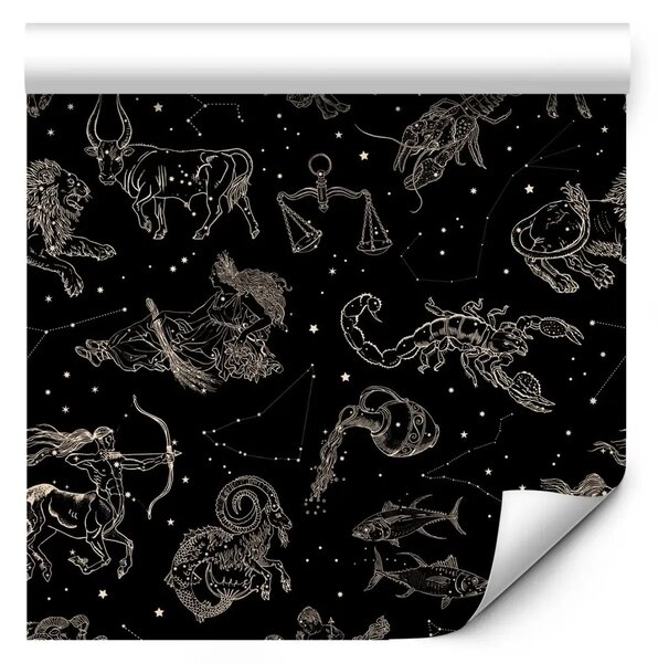 Tappezzerie Segni zodiacali - simboli decorativi su uno sfondo di cielo notturno