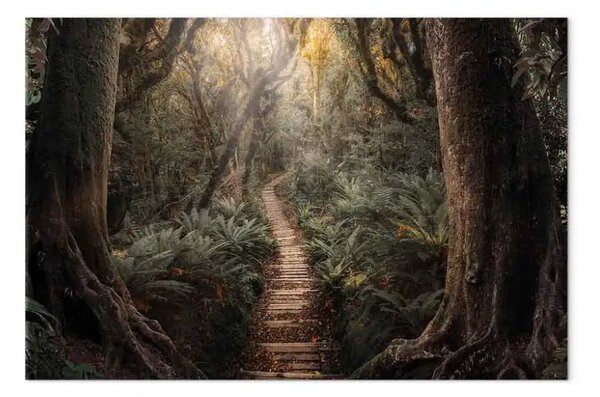 Quadro contemporaneo La via della natura - un sentiero di legno nella giungla