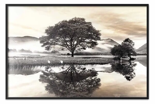 Poster: Paesaggio nebbioso - montagne, alberi riflessi su lago