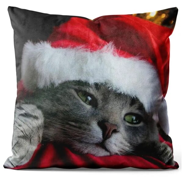 Cuscino in velluto Gatto con cappello di Babbo Natale - animale natalizio su sfondo scuro