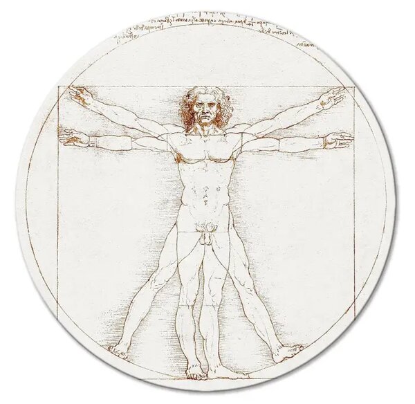 Quadro rotondo L'Uomo Vitruviano - proporzioni del corpo umano