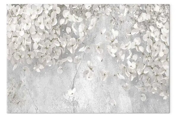 Quadro moderno Fiori bianchi - piante bianche su sfondo di pietra grigia
