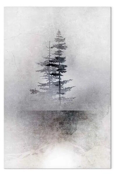 Quadro moderno Paesaggio - alberi pino nebbia bianco nero