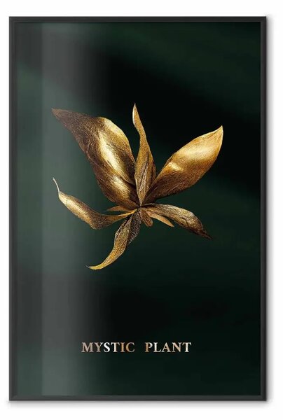 Poster: Pianta scintillante - fiore su sfondo verde seta