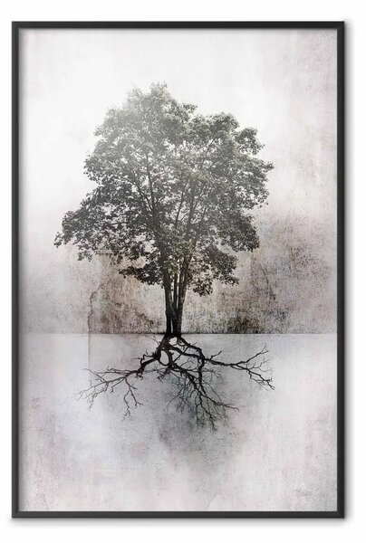 Poster: Paesaggio - albero con radici estese su sfondo bianco e marrone