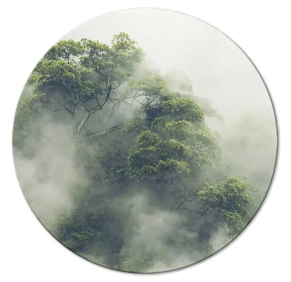 Quadro rotondo Al mattino - albero nella nebbia