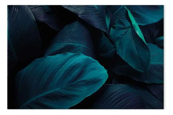 Quadro moderno Notte giungla - paesaggio tropicale notte