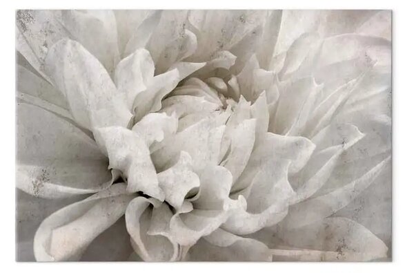 Quadro moderno Fiore di marmo - petali chiari su sfondo bianco