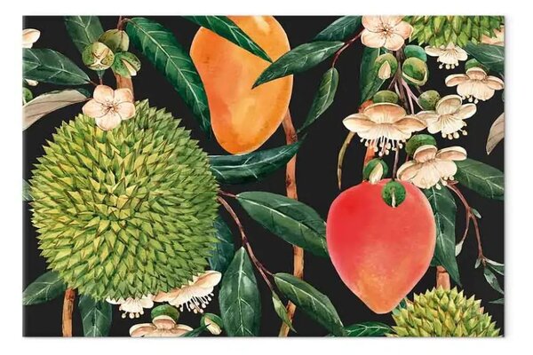 Quadro su tela Frutti esotici - piante tropicali su sfondo nero