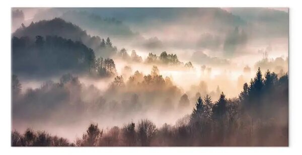 Quadro su tela Foresta nella nebbia - paesaggio montano con alberi all'alba